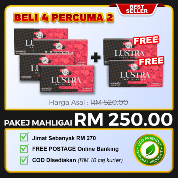 PAKEJ MAHLIGAI ( 4 KOTAK FREE 2 )